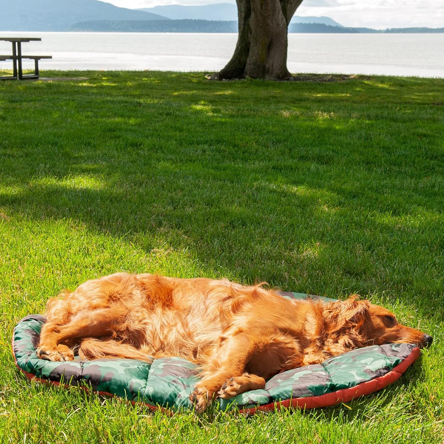 Outdoor Travel Dog Bed for Large/Medium Dogs W/ Carry Bag, Washable & Foldable, Great for Crates & Kennels - Trail Pup Travel Pillow Mat W/ Stuff Sack Bag - Paprika/Camo-Paw, Large
