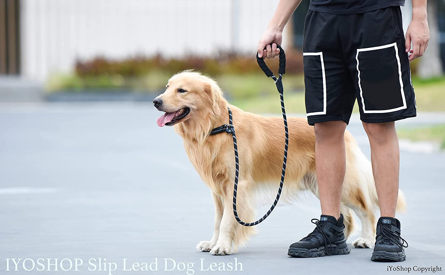Durable Slip Lead Dog Leash with Padded Handle and Highly Reflective Threads, No Pull Dog Training Leash, (3/8" X 6 FT, Black)