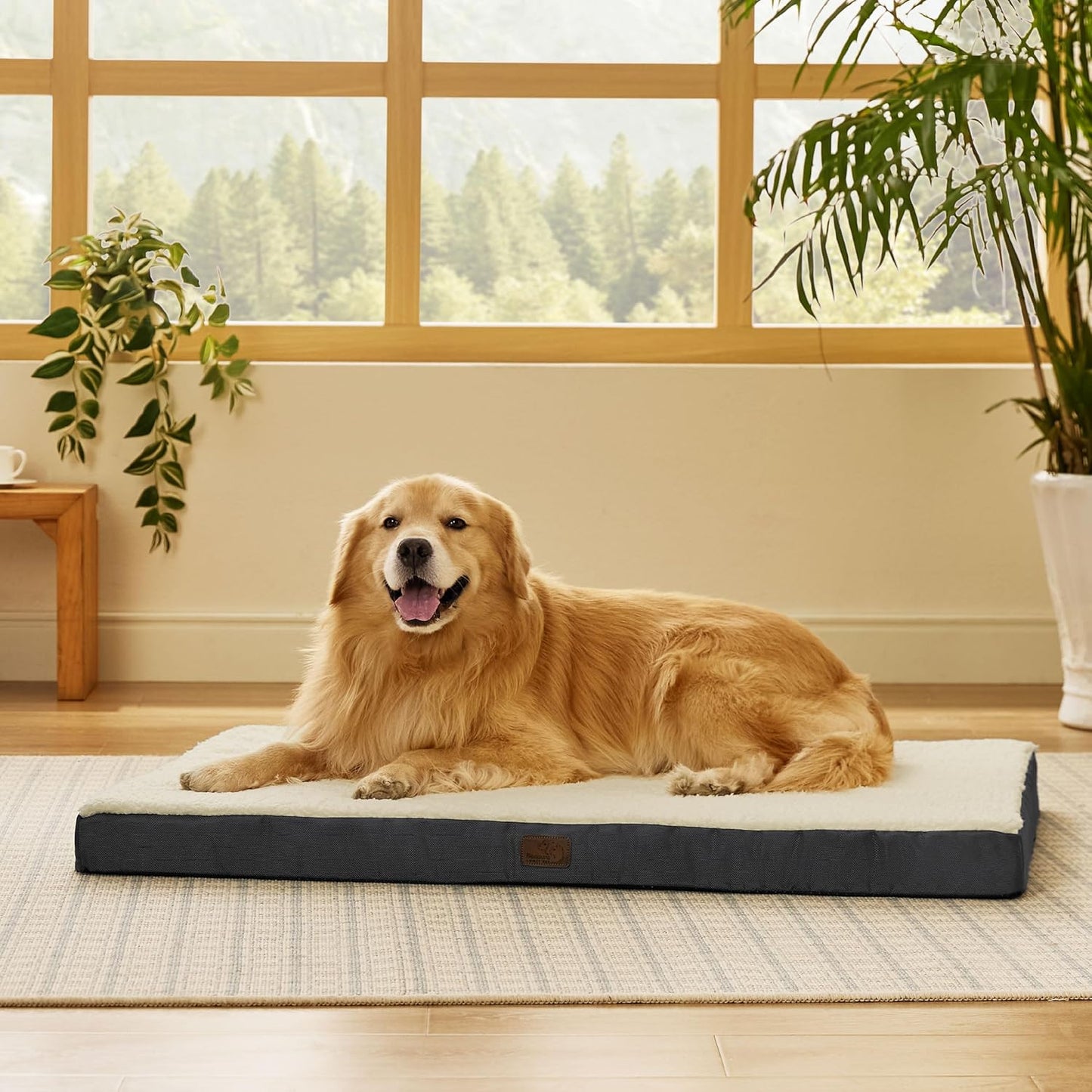 XL Dog Bed Large Sized Dog -Orthopedic Waterproof Extra Large Pet Beds with Removable Washable Cover, Egg Crate Foam Mat, Suitable for Pet up to 100 Lbs