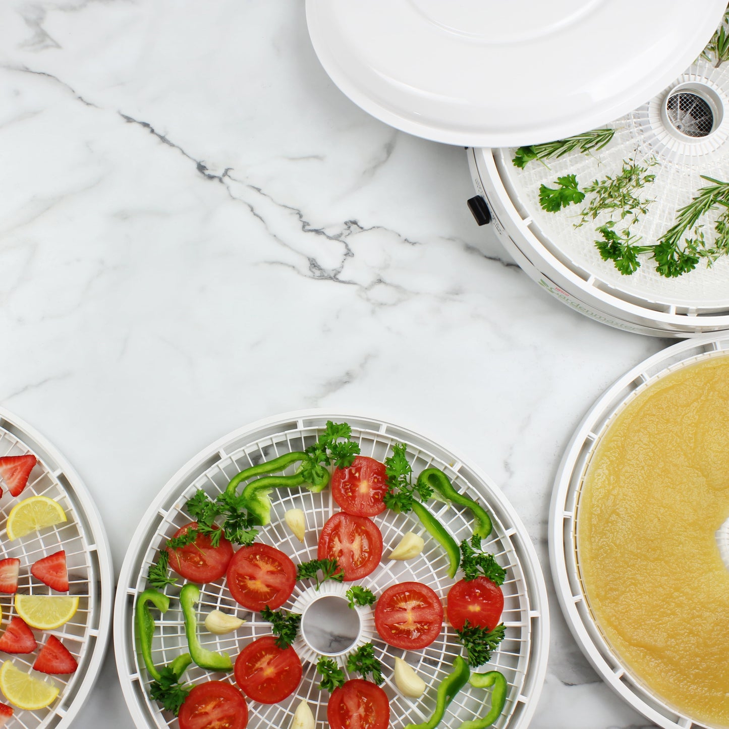 ® American Harvest FD1010 Garden Master Food Dehydrator