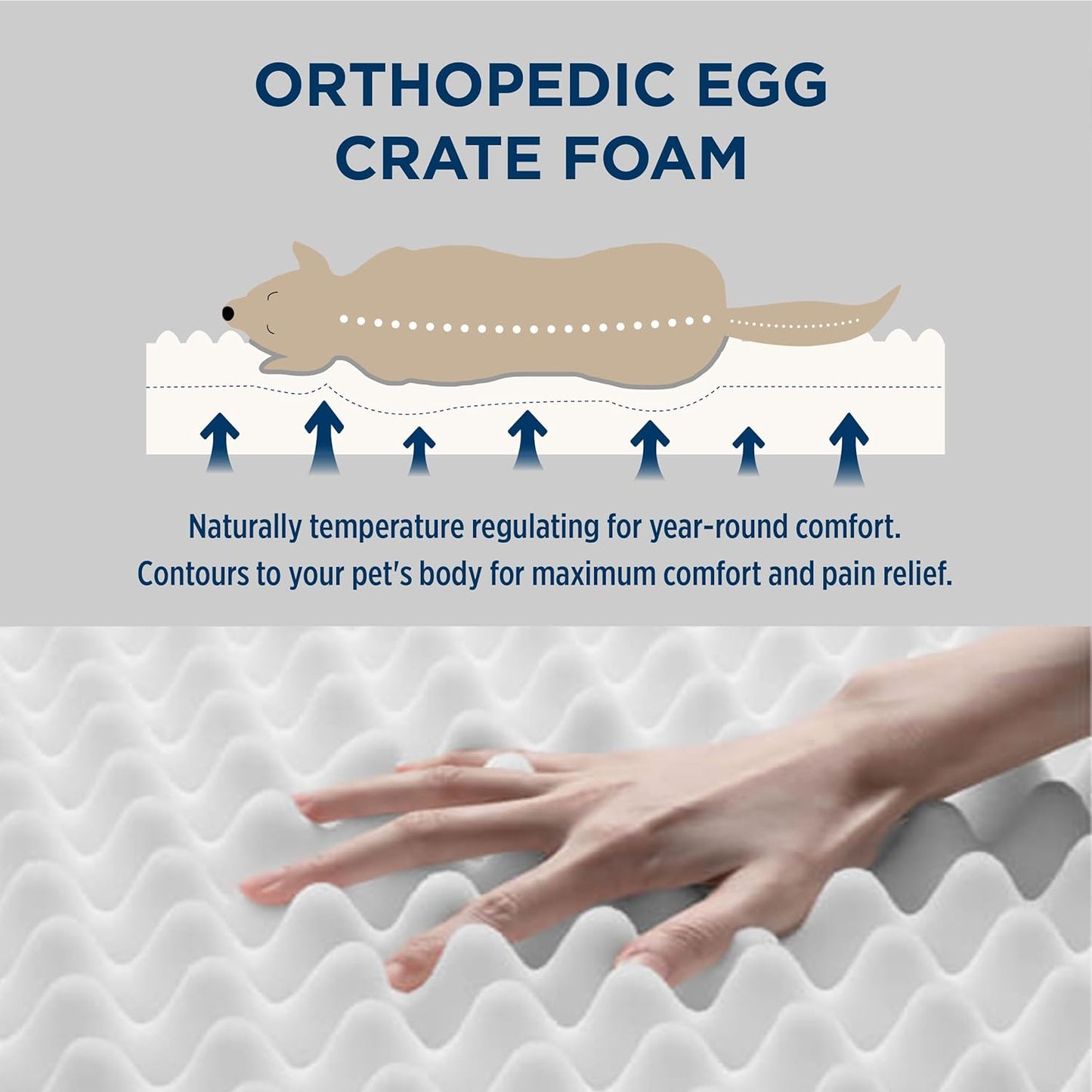 XL Dog Bed Large Sized Dog -Orthopedic Waterproof Extra Large Pet Beds with Removable Washable Cover, Egg Crate Foam Mat, Suitable for Pet up to 100 Lbs