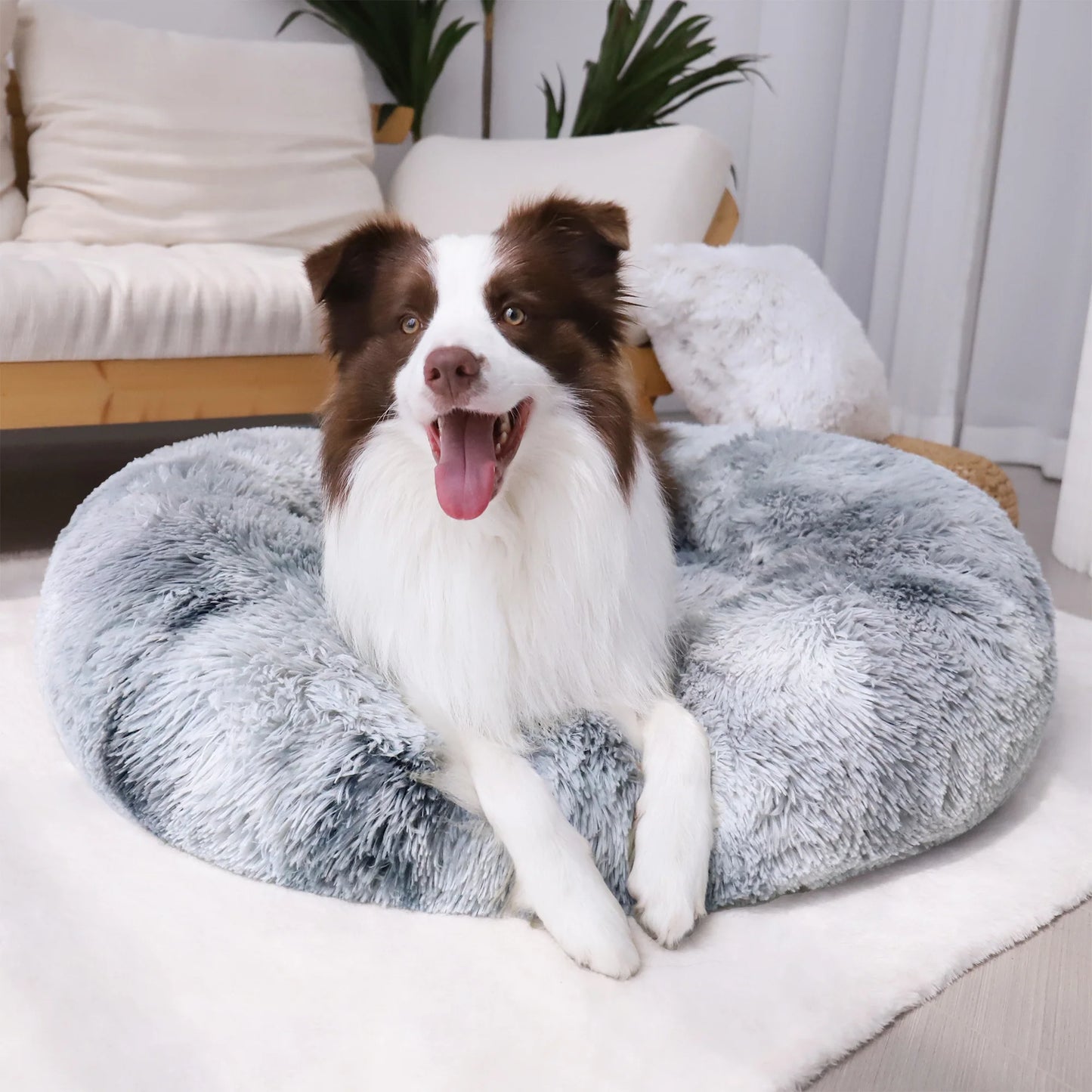 Calming Donut Pet Bed for Small Dogs 20", Anti-Anxiety Plush Cozy Warming Dog Bed, Grey