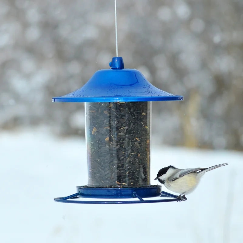 Blue Panorama Wild Bird Seed Feeder - 2 Lb Capacity