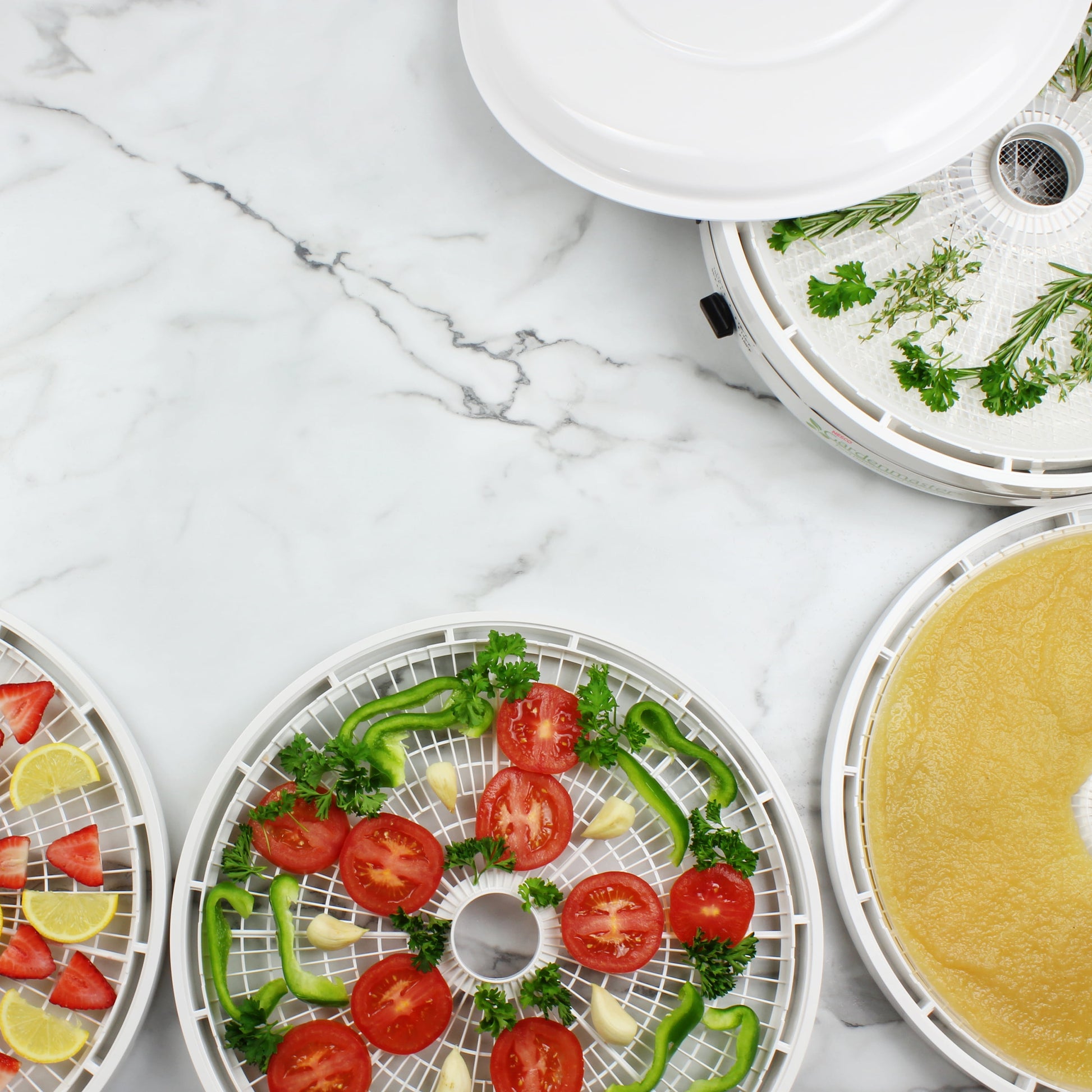 ® American Harvest FD1010 Garden Master Food Dehydrator