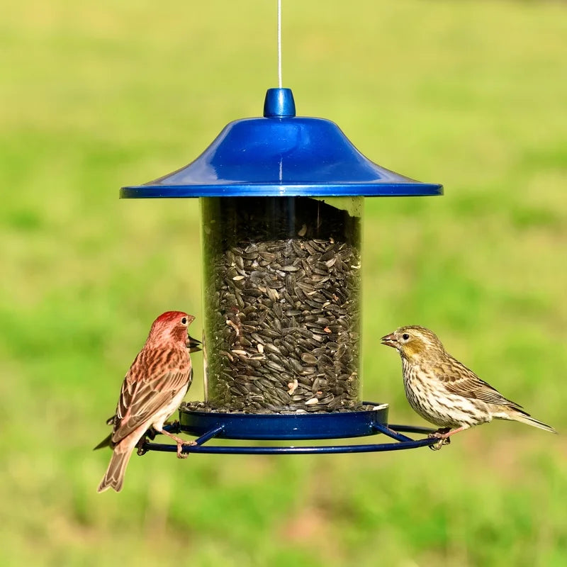 Blue Panorama Wild Bird Seed Feeder - 2 Lb Capacity