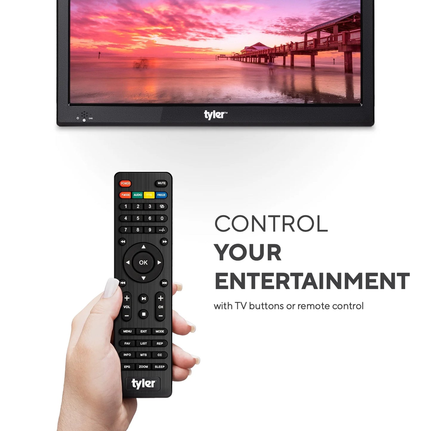13.3" Portable TV LCD Monitor, LED, Portable, with Battery Powered, Wireless Capability, HDMI, USB, RCA, AC/DC, FM Radio, Car Charger, Remote Control, Built in Stand, New